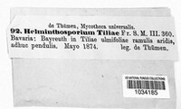 Helminthosporium tiliae image